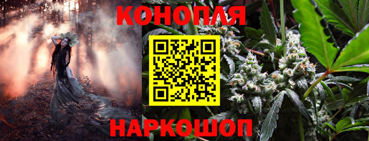 Канабис планчик  Вход с VPN  Бошки марихуана SATIVA & INDICA  Сорочинск 